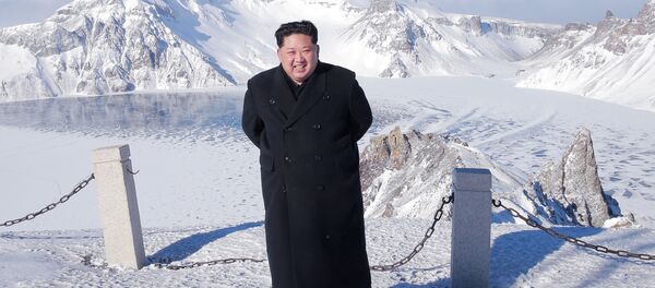 Kuzey Kore lideri Kim Jong-un, Baekdu Dağı’na tırmandı - Sputnik Türkiye