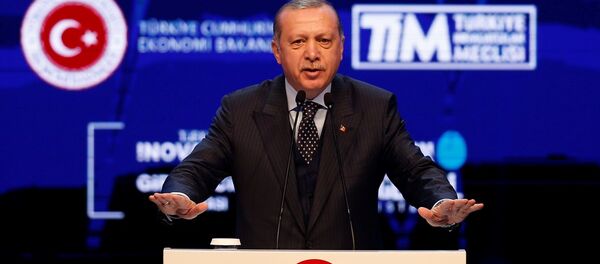 Recep Tayyip Erdoğan - Sputnik Türkiye