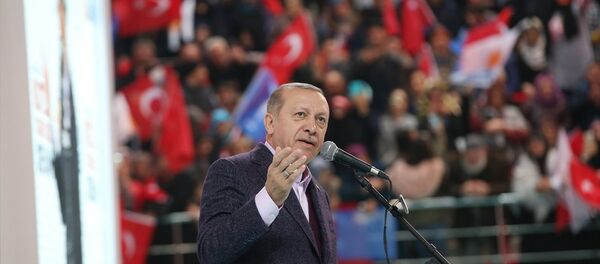 Cumhurbaşkanı Recep Tayyip Erdoğan - Sputnik Türkiye