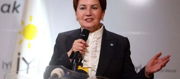 İYİ Parti Kurucu Genel Başkanı Meral Akşener - Sputnik Türkiye