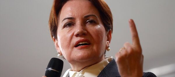 İYİ Parti Kurucu Genel Başkanı Meral Akşener - Sputnik Türkiye
