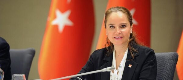 CHP Genel Başkan Yardımcısı Yasemin Öney Cankurtaran CHP Genel Başkan Yardımcısı Yasemin Öney Cankurtaran - Sputnik Türkiye