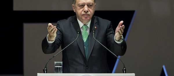 Cumhurbaşkanı Recep Tayyip Erdoğan - Sputnik Türkiye