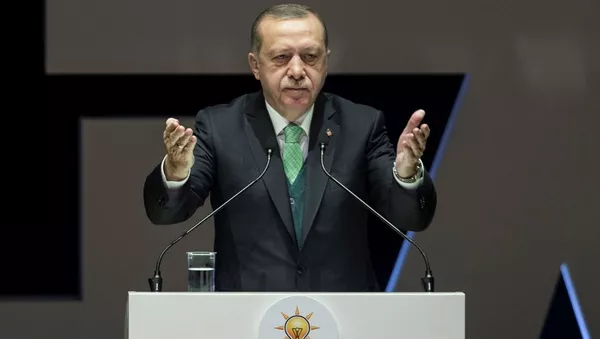 Cumhurbaşkanı Recep Tayyip Erdoğan - Sputnik Türkiye