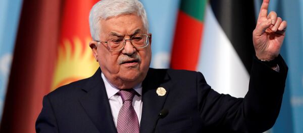 Abbas İstanbul İİT zirvesi - Sputnik Türkiye