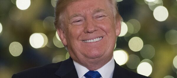 ABD Başkanı Donald Trump - Sputnik Türkiye