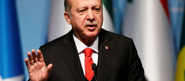 Cumhurbaşkanı Recep Tayyip Erdoğan - Sputnik Türkiye