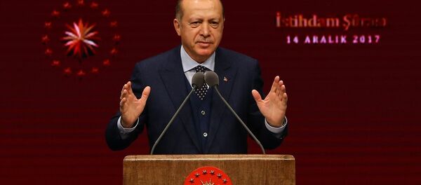 Cumhurbaşkanı Recep Tayyip Erdoğan - Sputnik Türkiye