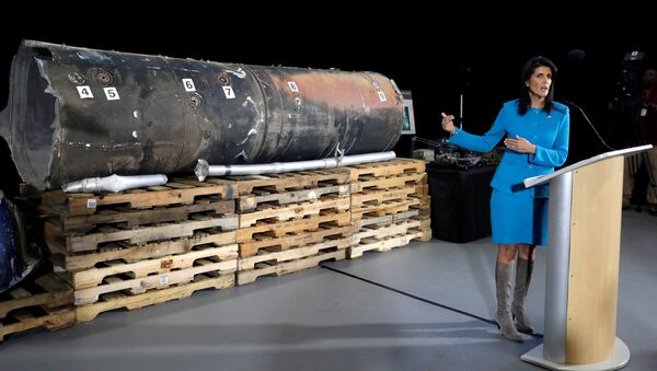ABD'nin Birleşmiş Milletler (BM) Daimi Temsilcisi Nikki Haley - Sputnik Türkiye