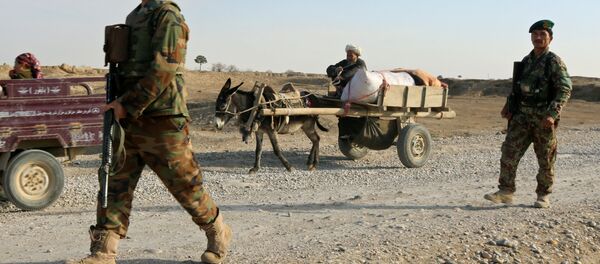 Afganistan güvenlik güçleri - Sputnik Türkiye