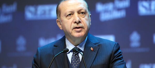 Cumhurbaşkanı Recep Tayyip Erdoğan - Sputnik Türkiye