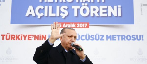 Cumhurbaşkanı Recep Tayyip Erdoğan - Sputnik Türkiye