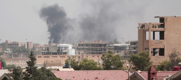 Haseke - Sputnik Türkiye