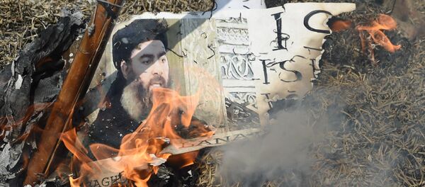 Hindistan Yeni Delhi Şiiler IŞİD-Bağdadi'yi protesto etti - Sputnik Türkiye