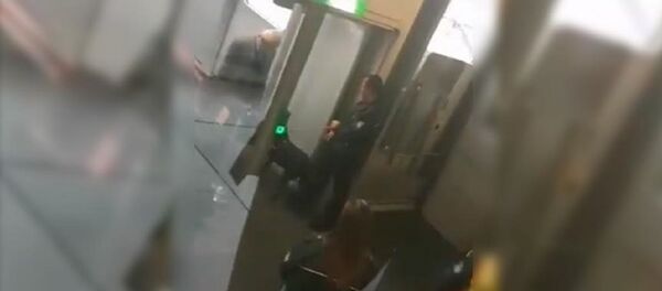 Almanya'da İstanbul'dan gelen yolculara köpekli arama - Sputnik Türkiye