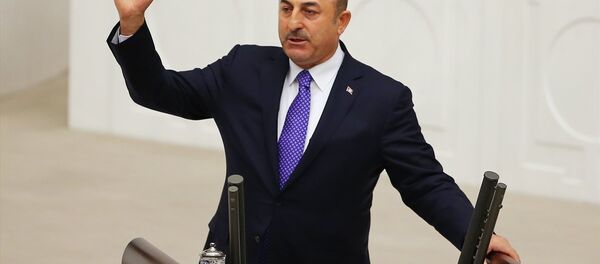 Dışişleri Bakanı Mevlüt Çavuşoğlu - Sputnik Türkiye