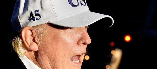 ABD Başkanı Donald Trump - Sputnik Türkiye