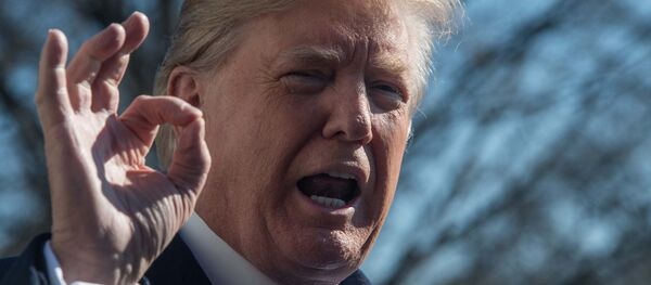 ABD Başkanı Donald Trump - Sputnik Türkiye