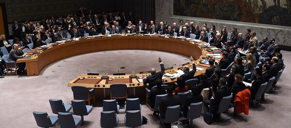 Birleşmiş Milletler Güvenlik Konseyi toplantısı - Sputnik Türkiye