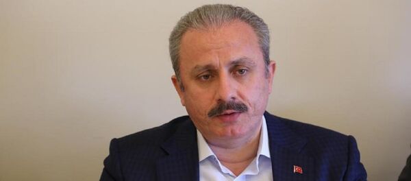 Mustafa Şentop - Sputnik Türkiye