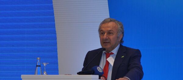 Türkiye Seyahat Acentaları Birliği (TÜRSAB) Başkanı Başaran Ulusoy - Sputnik Türkiye