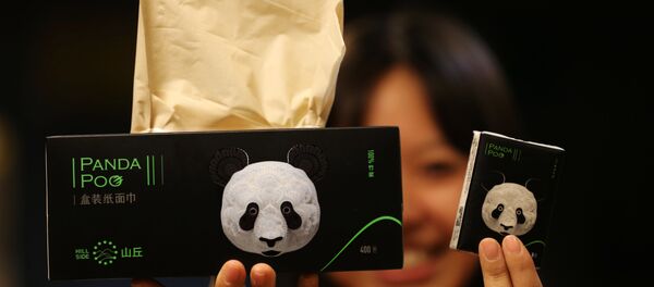 Panda dışkısından yapılan kağıt peçete - Sputnik Türkiye
