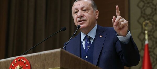 Cumhurbaşkanı Recep Tayyip Erdoğan - Sputnik Türkiye