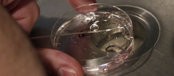 embriyo dondurma teknikleri New York - Sputnik Türkiye