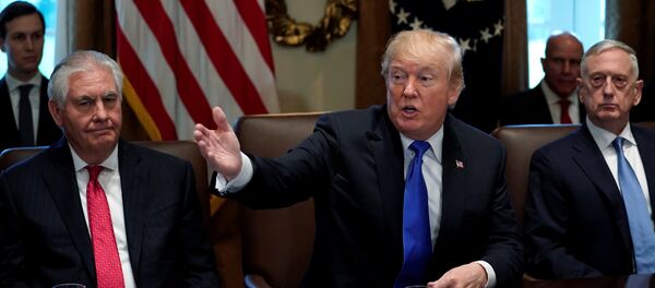 ABD Başkanı Donald Trump - Sputnik Türkiye