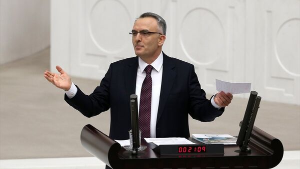Maliye Bakanı Naci Ağbal - Sputnik Türkiye