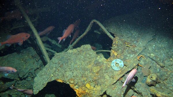 HMAS AE-1’in enkazı - Sputnik Türkiye