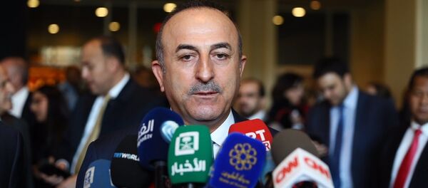 Dışişleri Bakanı Mevlüt Çavuşoğlu - Sputnik Türkiye