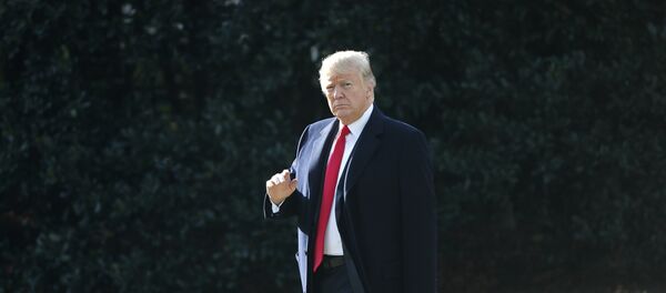 ABD Başkanı Donald Trump - Sputnik Türkiye