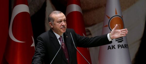 Cumhurbaşkanı Recep Tayyip Erdoğan - Sputnik Türkiye