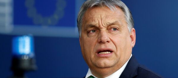 Macaristan Başbakanı Viktor Orban - Sputnik Türkiye