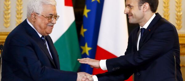 Abbas Macron Paris - Sputnik Türkiye