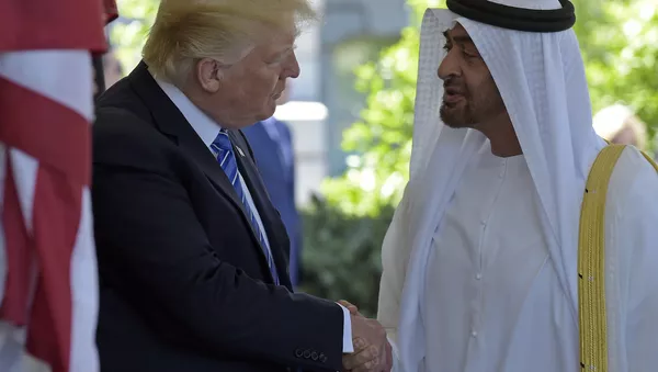 Trump Abu Dabi Veliahtı Nahyan - Sputnik Türkiye