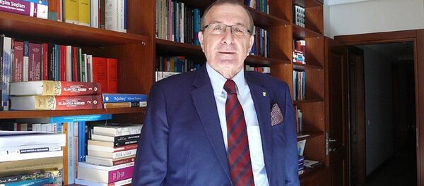 Prof. Adem Sözüer - Sputnik Türkiye