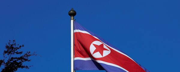 Kuzey Kore bayrağı - Sputnik Türkiye