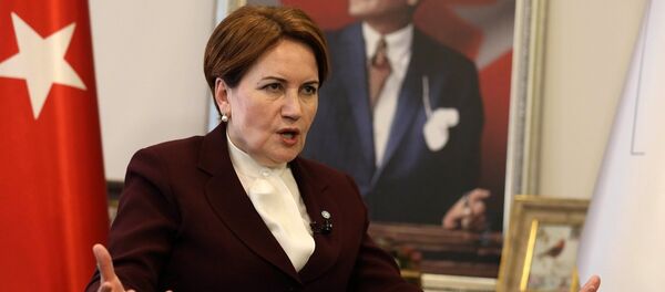 Meral Akşener - Sputnik Türkiye