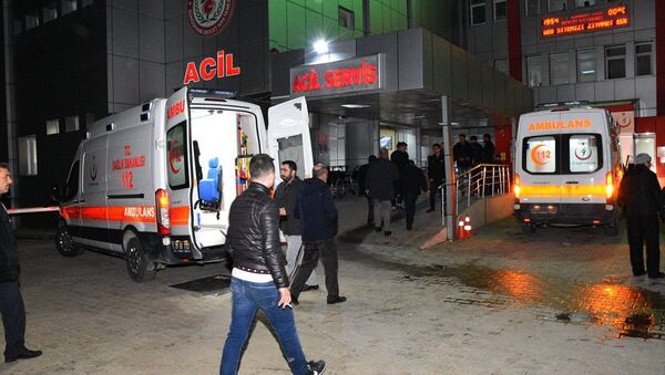 Gümüşhane'de 'rus ruleti' oynayan astsubay yaşamını yitirdi - Sputnik Türkiye