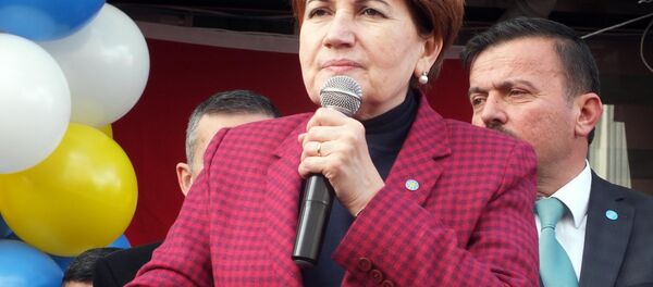 İYİ Parti Genel Başkanı Meral Akşener - Sputnik Türkiye