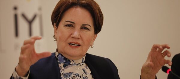 Meral Akşener - Sputnik Türkiye