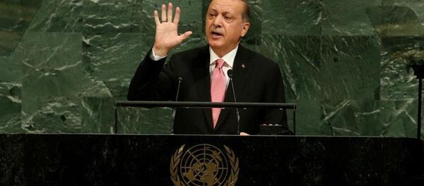 Cumhurbaşkanı Recep Tayyip Erdoğan - Sputnik Türkiye