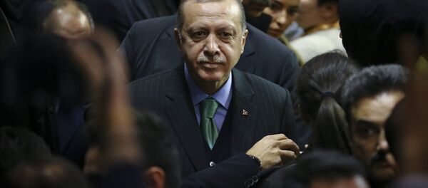 Cumhurbaşkanı ve AK Parti Genel Başkanı Recep Tayyip Erdoğan Cumhurbaşkanı ve AK Parti Genel Başkanı Recep Tayyip Erdoğan - Sputnik Türkiye