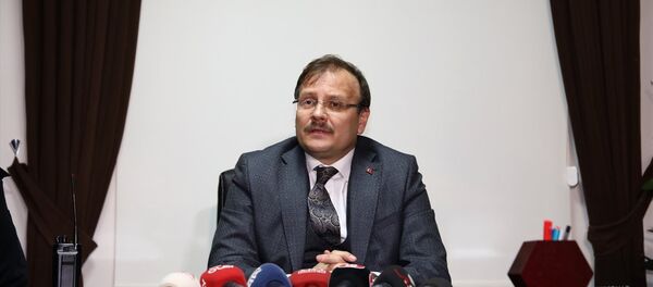 Hakan Çavuşoğlu Hakan Çavuşoğlu - Sputnik Türkiye