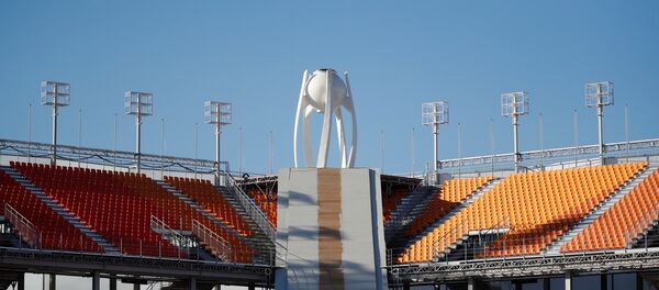 Pyeongchang Kış Olimpiyat Oyunları Pyeongchang Kış Olimpiyat Oyunları - Sputnik Türkiye