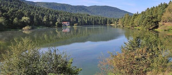 Gölcük Tabiat Parkı Gölcük Tabiat Parkı - Sputnik Türkiye