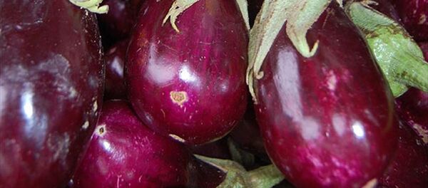 Patlıcan - Sputnik Türkiye