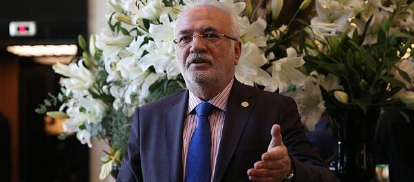 AK Parti Kayseri Milletvekili Mustafa Elitaş - Sputnik Türkiye